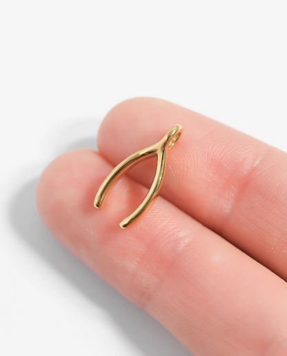 Wishbone Charm