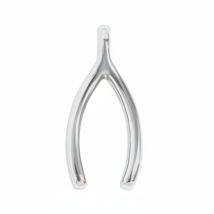 Wishbone Charm