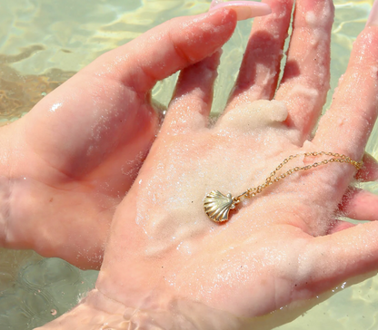 Clam Shell Charm