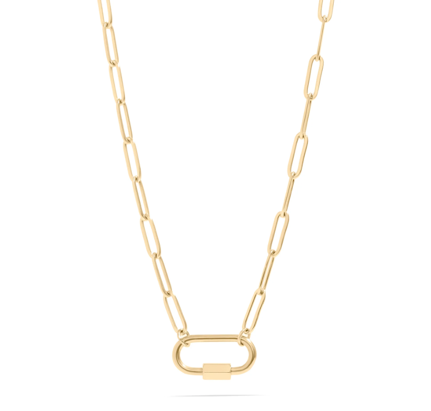 Paperclip Carabiner Necklace