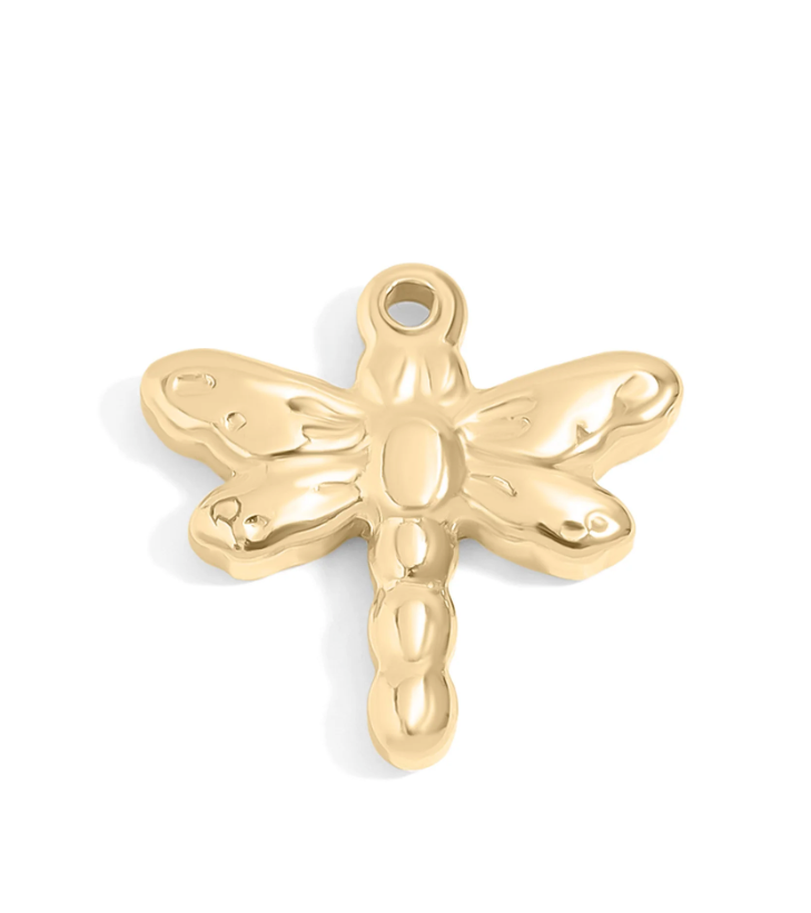 Dragonfly Charm