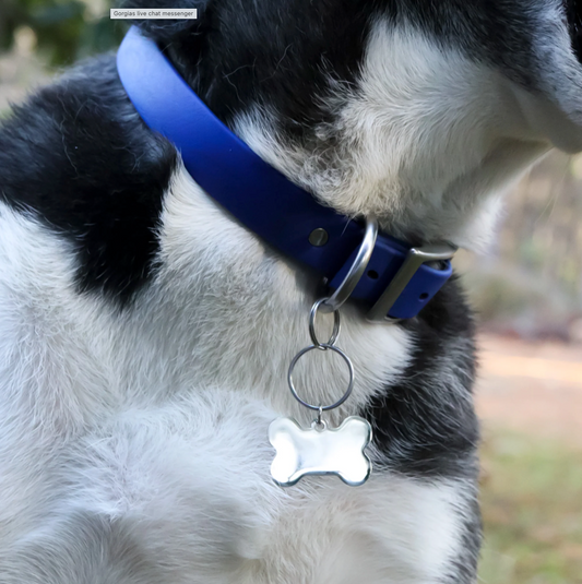 Pet Tag - Bone LARGE 2"