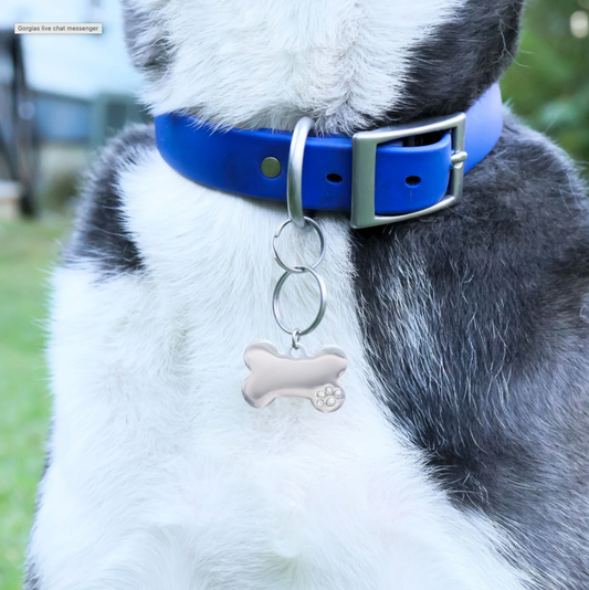 Pet Tag - Bone with CZ LARGE 2"