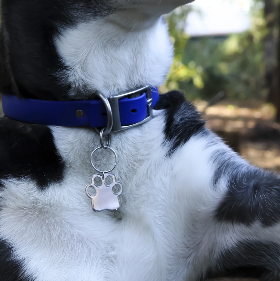 Pet Tag - Paw