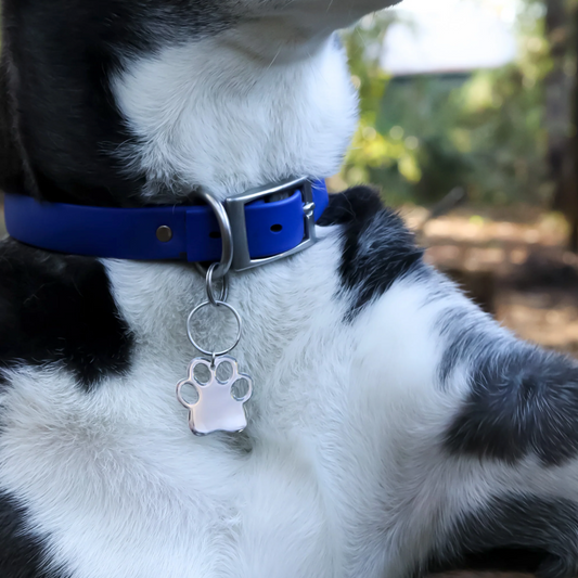 Pet Tag - Paw