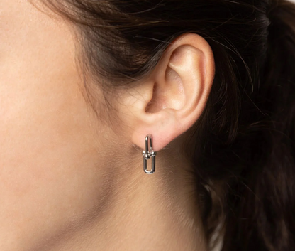 Horseshoe Lock Earring